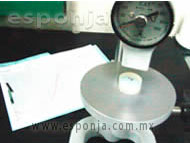 DESARROLLO DE HULES ESPONJA DE HULE